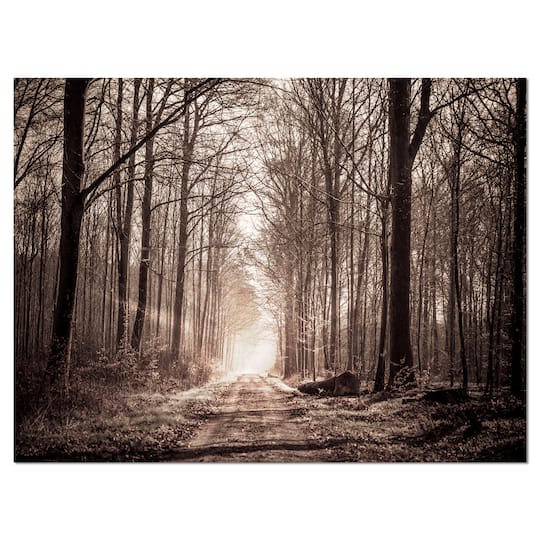 Designart - Forest Trail in Sepia